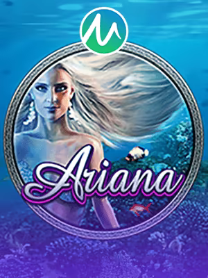Banner game casino c BIG